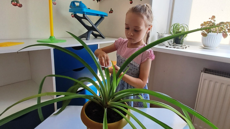 Неделя доброты 4